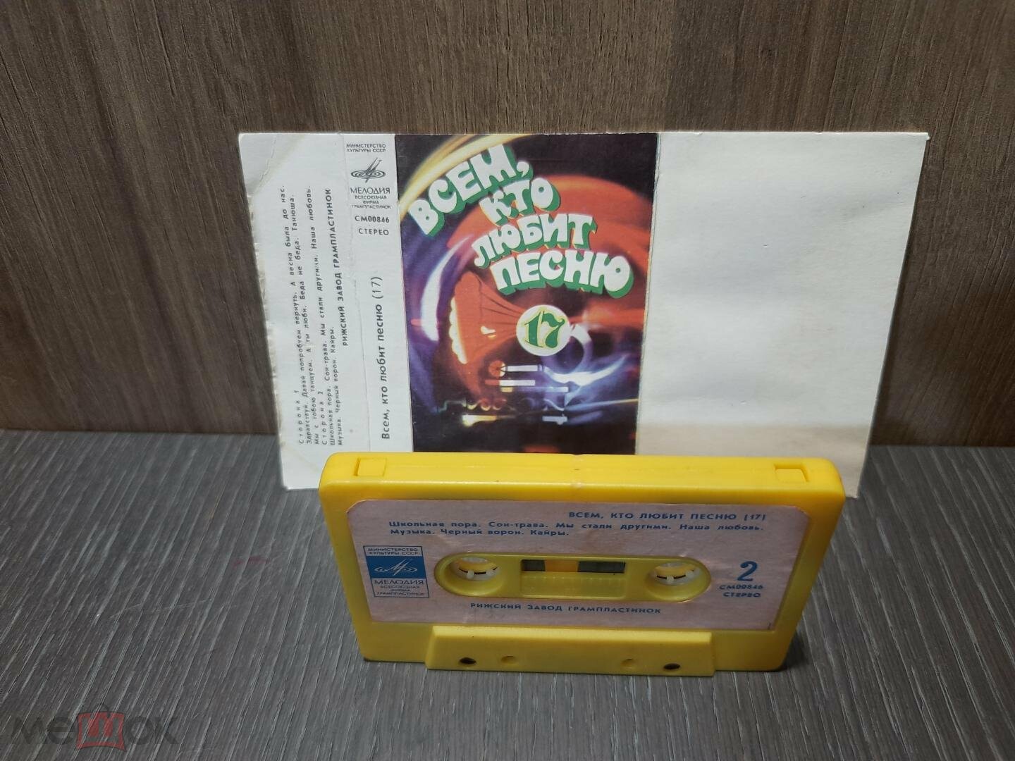Всем, кто любит песню (17)