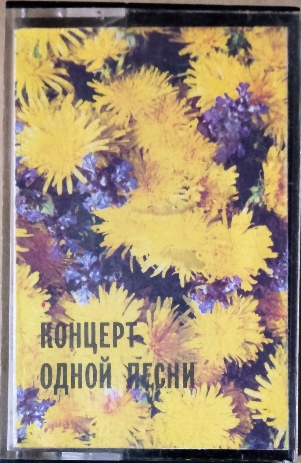 Концерт одной песни