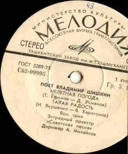 Поет Владимир ШИШКИН