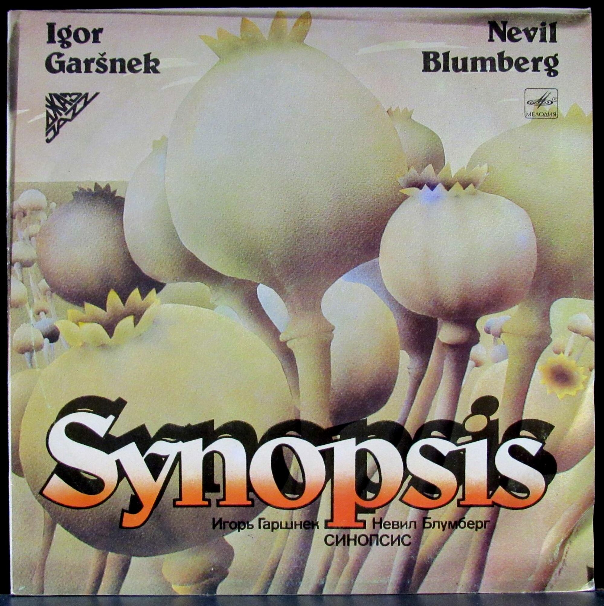 СИНОПСИС (SYNOPSIS): Игорь Гаршнек и Невил Блумберг