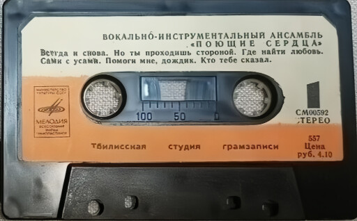 Вокально-инструментальный ансамбль "ПОЮЩИЕ СЕРДЦА"