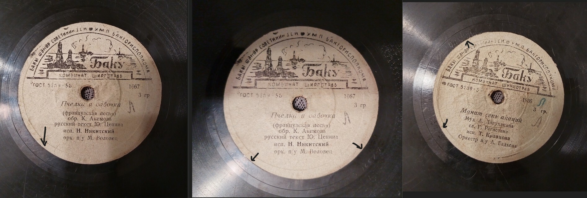 А. Коваленко — Вишнёвый сад // Т. Кравцова — Манит сень акаций