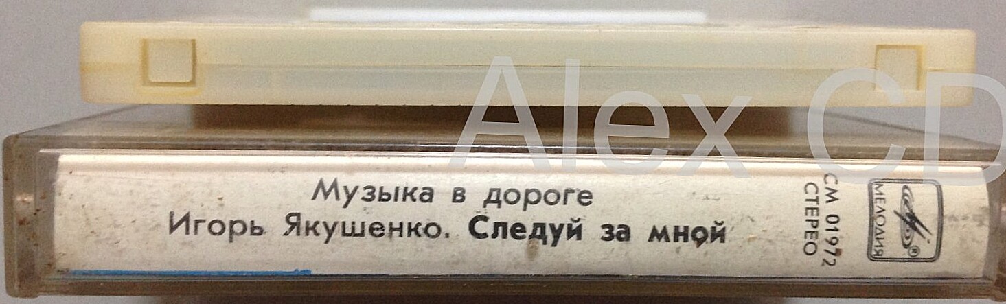 Музыка в дороге.  Игорь Якушенко - Следуй за мной
