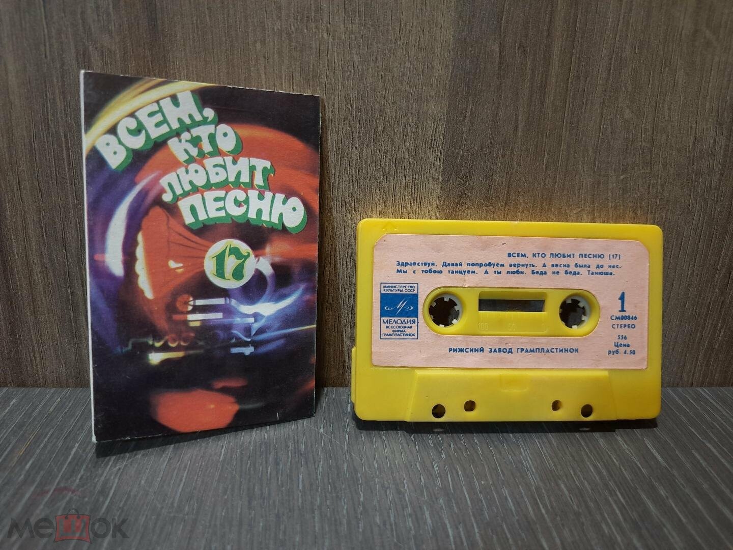 Всем, кто любит песню (17)