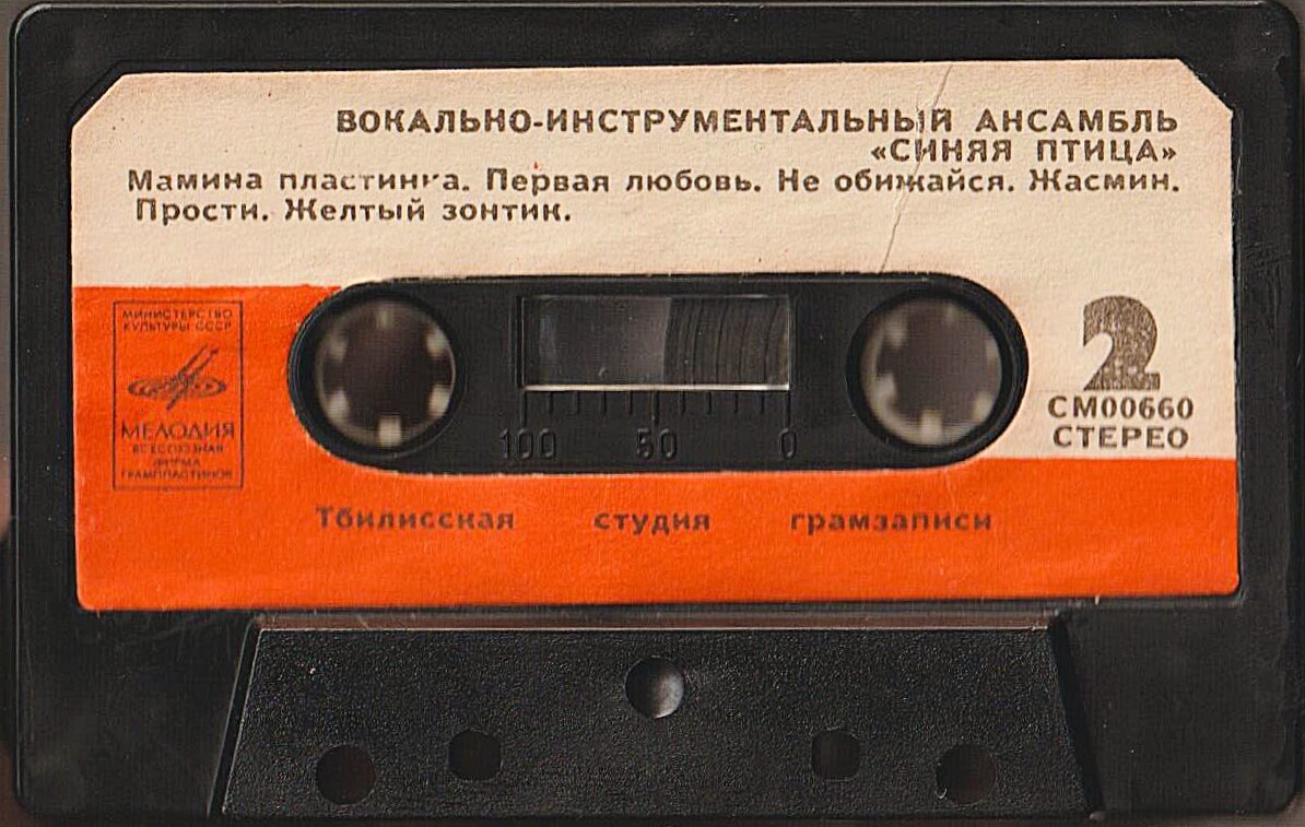 Вокально-инструментальный ансамбль "Синяя птица"