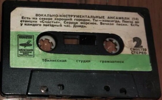 Вокально-инструментальные ансамбли (14)