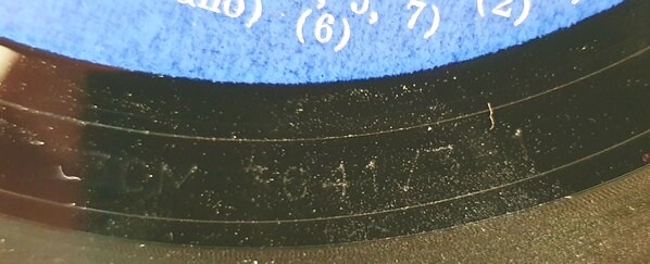 «ЧЕРВОНА РУТА». Поет София РОТАРУ