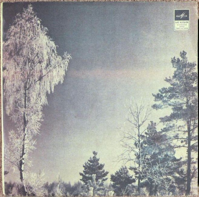 Зимний лес