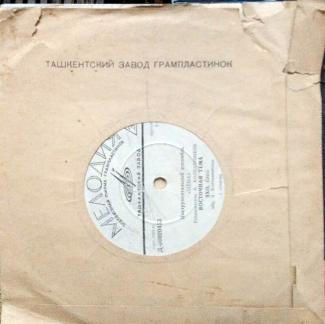 Аккордеонистка