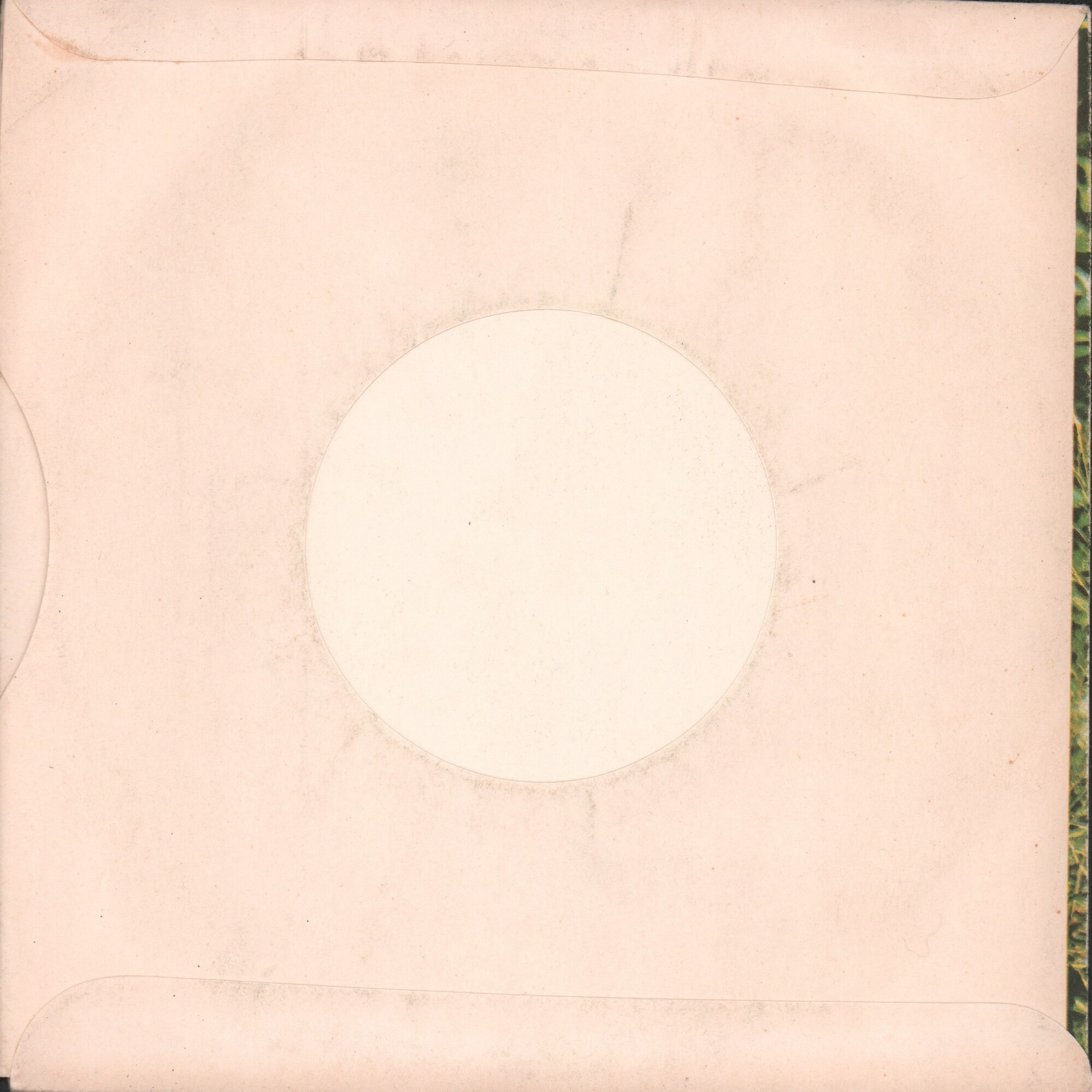 Луговые цветы / -