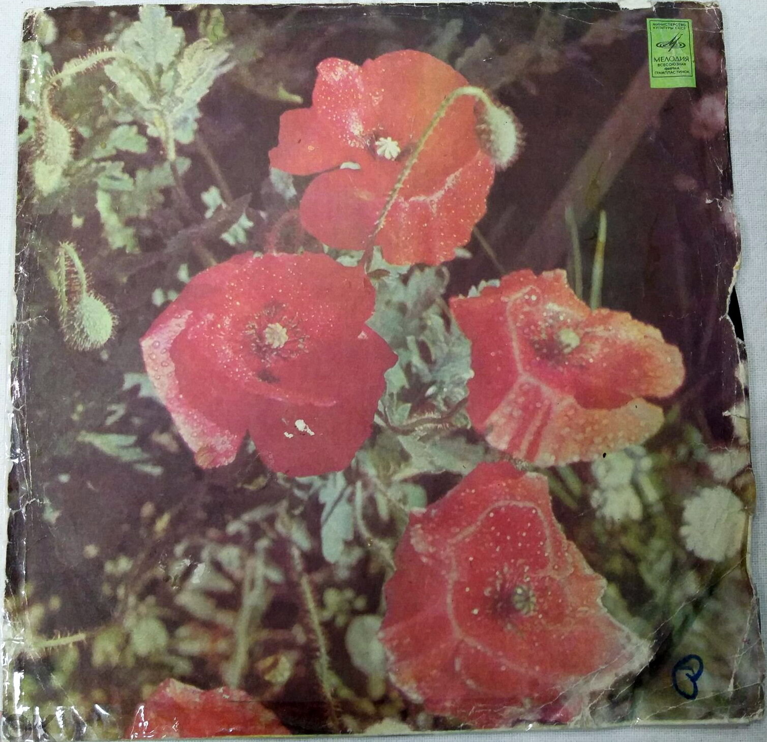 Маки / зак. 618