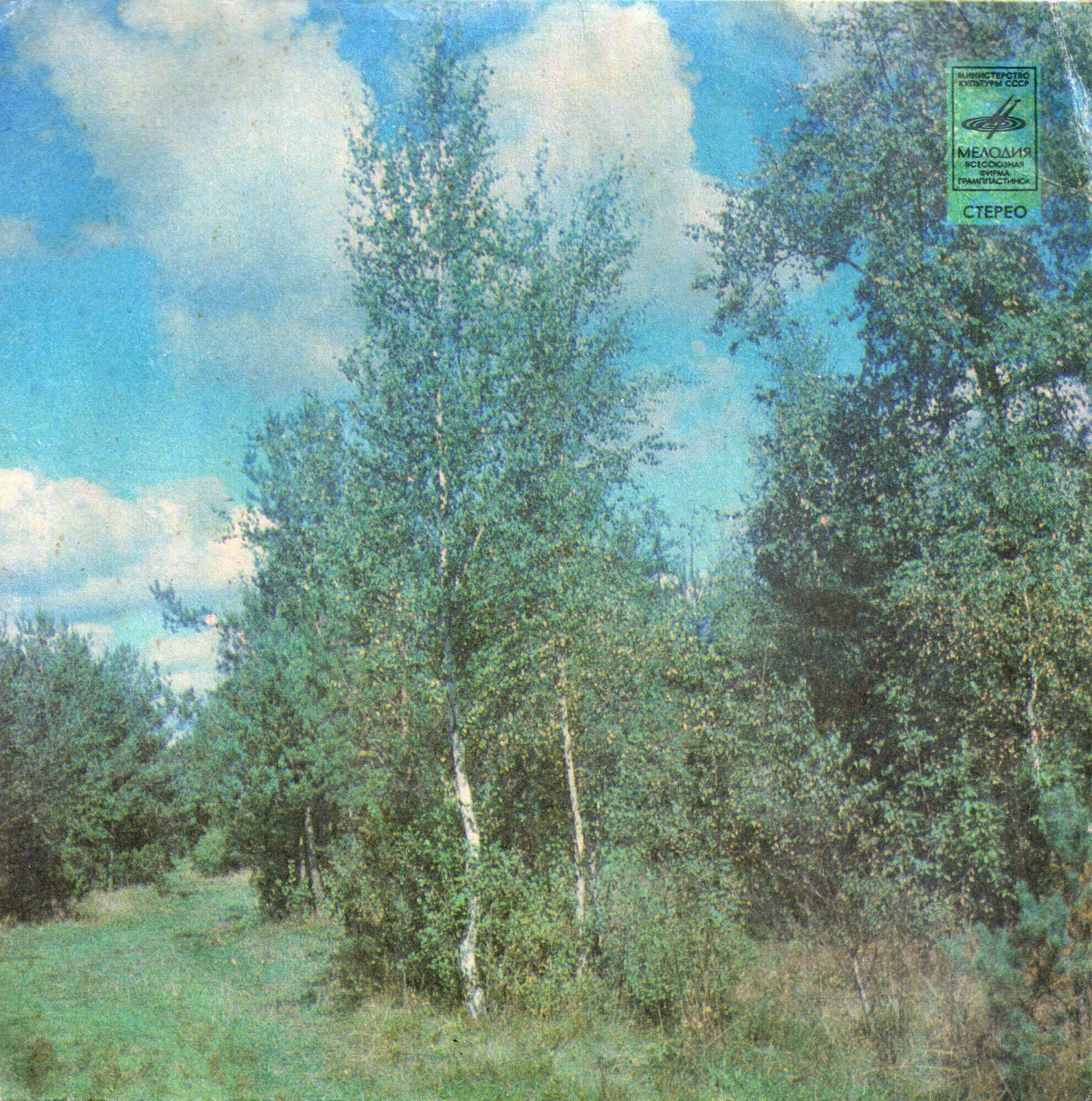 Стерео - Берёзы