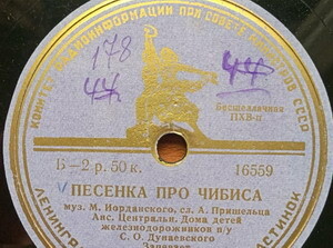 Бесшеллачная ПХВ-п (надпись по кругу, серая) ВРЕМЕННАЯ