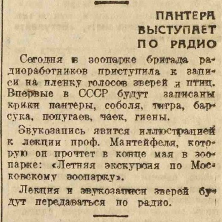 Пантера выступает по радио