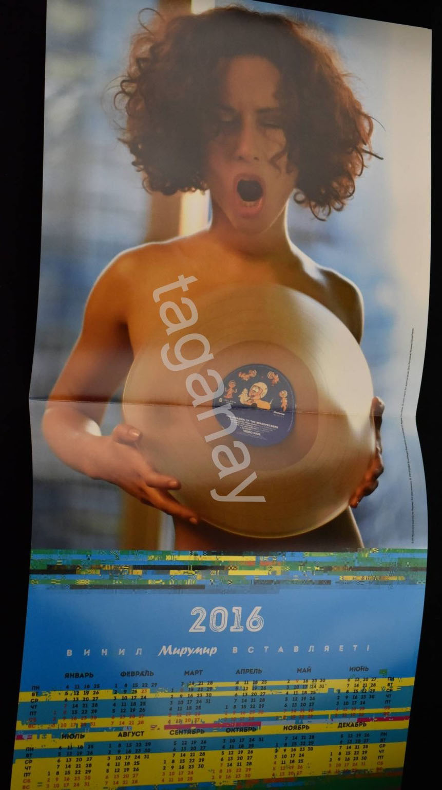 Календарь настенный на 2016 год